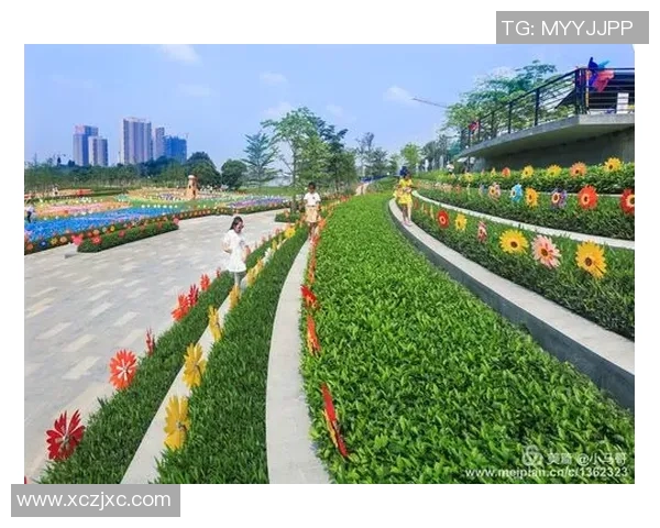 风车扣篮的魅力与技巧解析如何在篮球场上展现你的风车风采