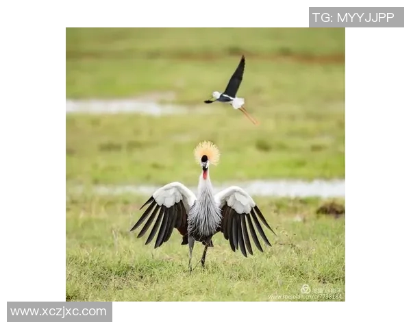 绣湖中学足球比赛精彩直播回放全程回顾与精彩瞬间分享 绣湖中学足球比赛精彩直播回放全程回顾与精彩瞬间分享