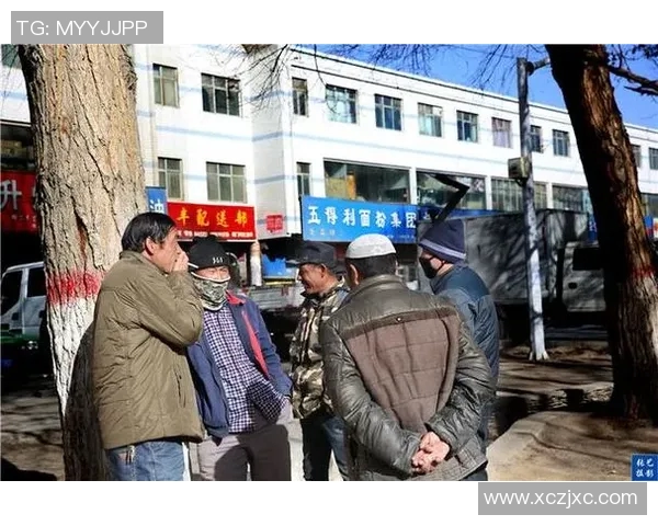 河北农民频道在线直播观看全新体验分享与互动活动尽在这里