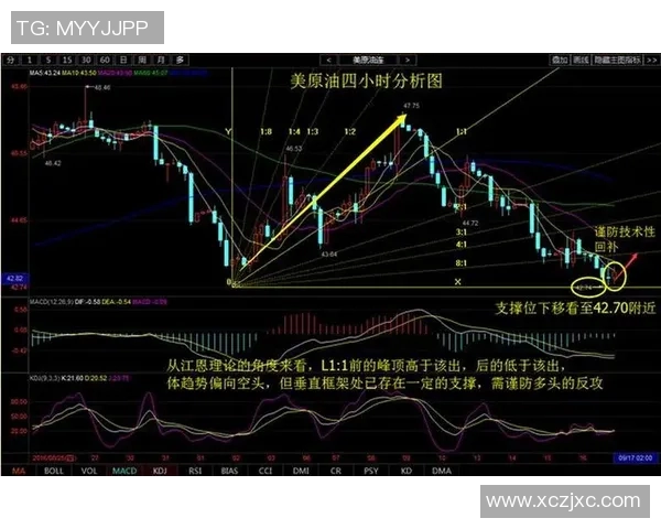 伊朗与尼日利亚足球对决全方位分析战术特点与历史交锋记录