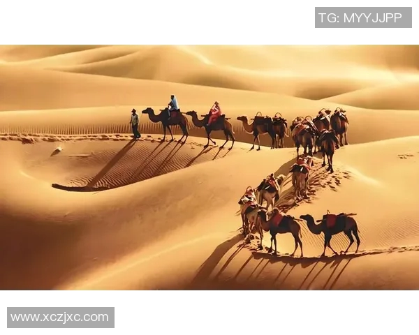 探索斯通斯的历史与文化影响力揭示其在当代社会的独特价值与意义